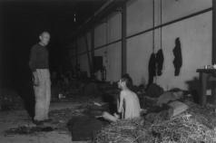 Концтабір Освенцім: досліди над жінками