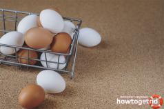 Чому коричневі яйця коштують дорожче, ніж білі?