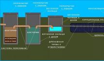معالجة الصرف الصحي المحلي في فيموجا قبل التركيب